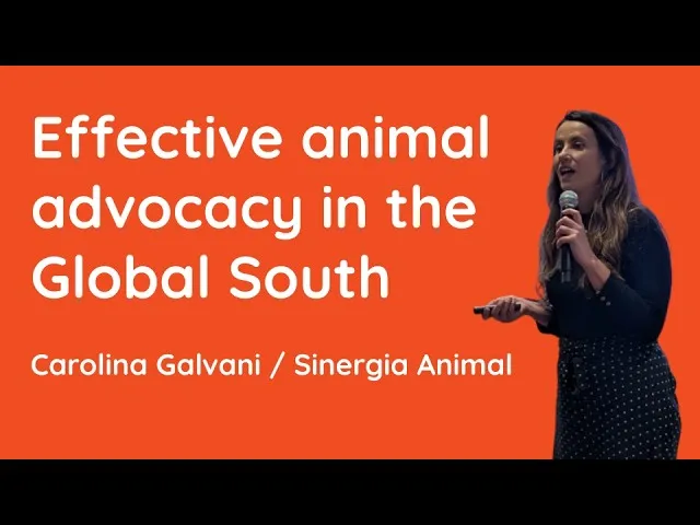 Effective animal advocacy in the Global South (Carolina Galvani / Sinergia Animal)