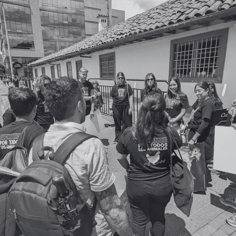Activists wearing “Luchamos por todos los animales” t-shirts protest on a street