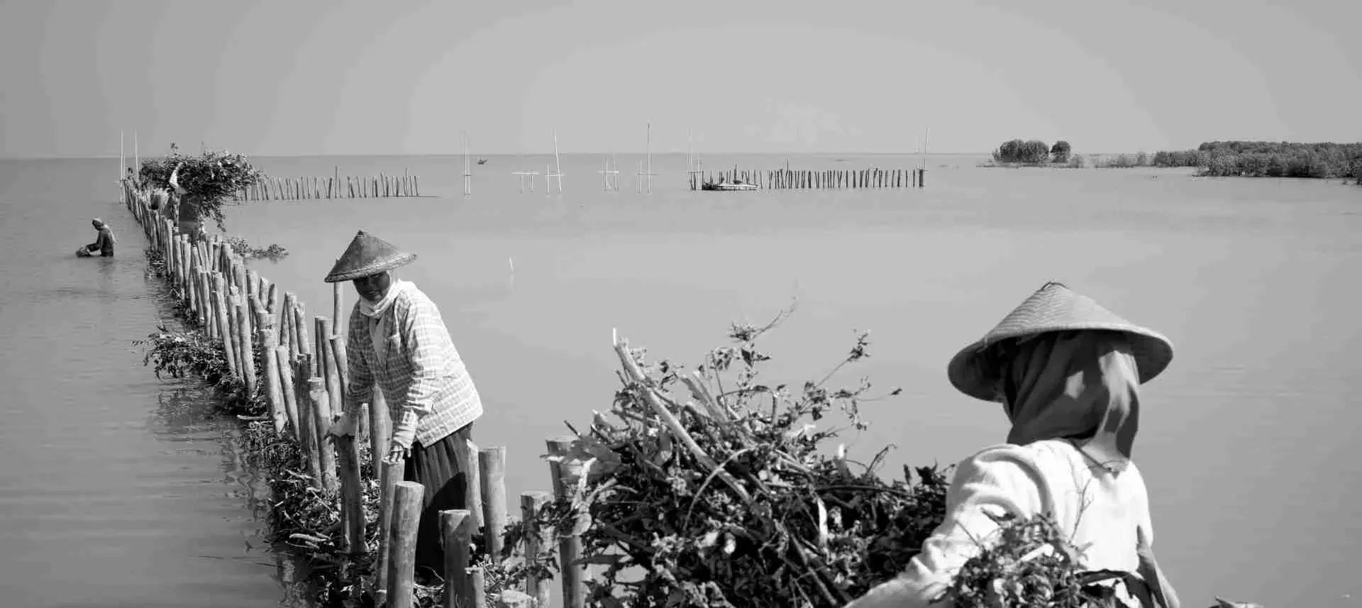 Aufnahme aus der "Building with Nature Indonesia"-Initiative