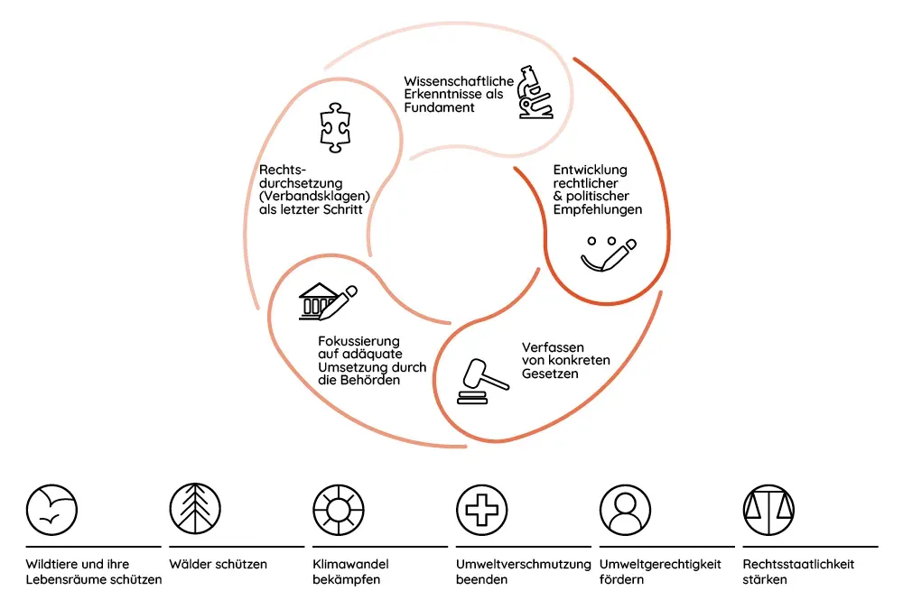 Grafik über die Arbeitsweise von ClientEarth. Diese lauten: Wissenschaftliche Erkenntnisse als Fundament, Entwicklung rechtlicher & politischer Empfehlungen, Verfassen von konkreten Gesetzen, Fokussierung auf adäquate Umsetzung durch die Behörden, Rechtsdurchsetzung (Verbandsklagen) als letzter Schritt. Die Themenfelder sind: Wildtiere und ihre Lebensräume schützen, Wälder schützen, Klimawandel bekämpfen, Umweltverschmutzung beenden, Umweltgerechtigkeit fördern, Rechtsstaatlichkeit stärken.