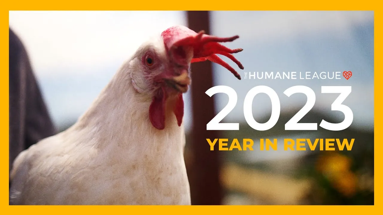 2023: Year in Review