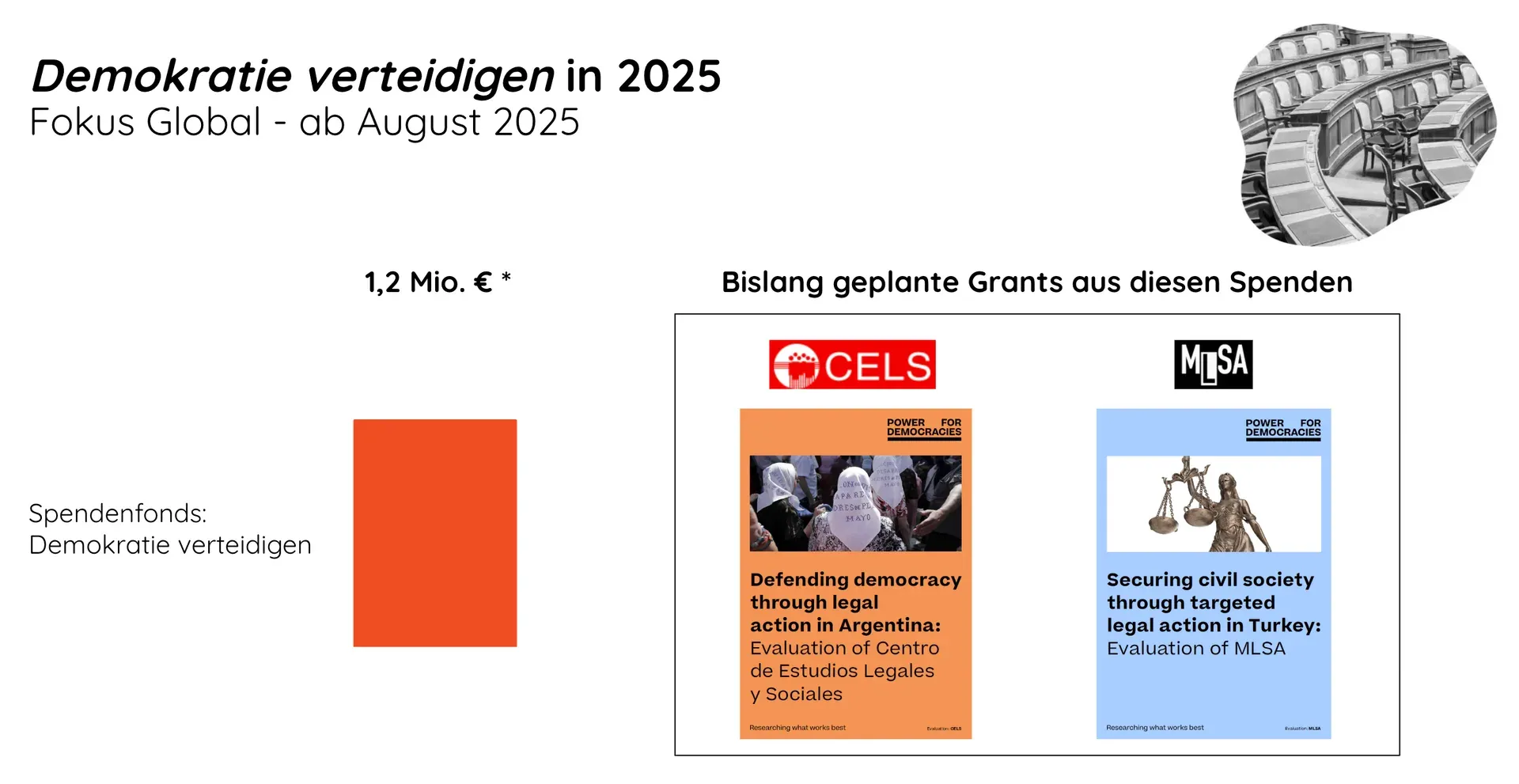 Defending democracy from August 2025, global focus: €1.2 million via the giving fund; planned grants to CELS (Argentina) and MLSA (Turkey), based on research by Power for Democracies