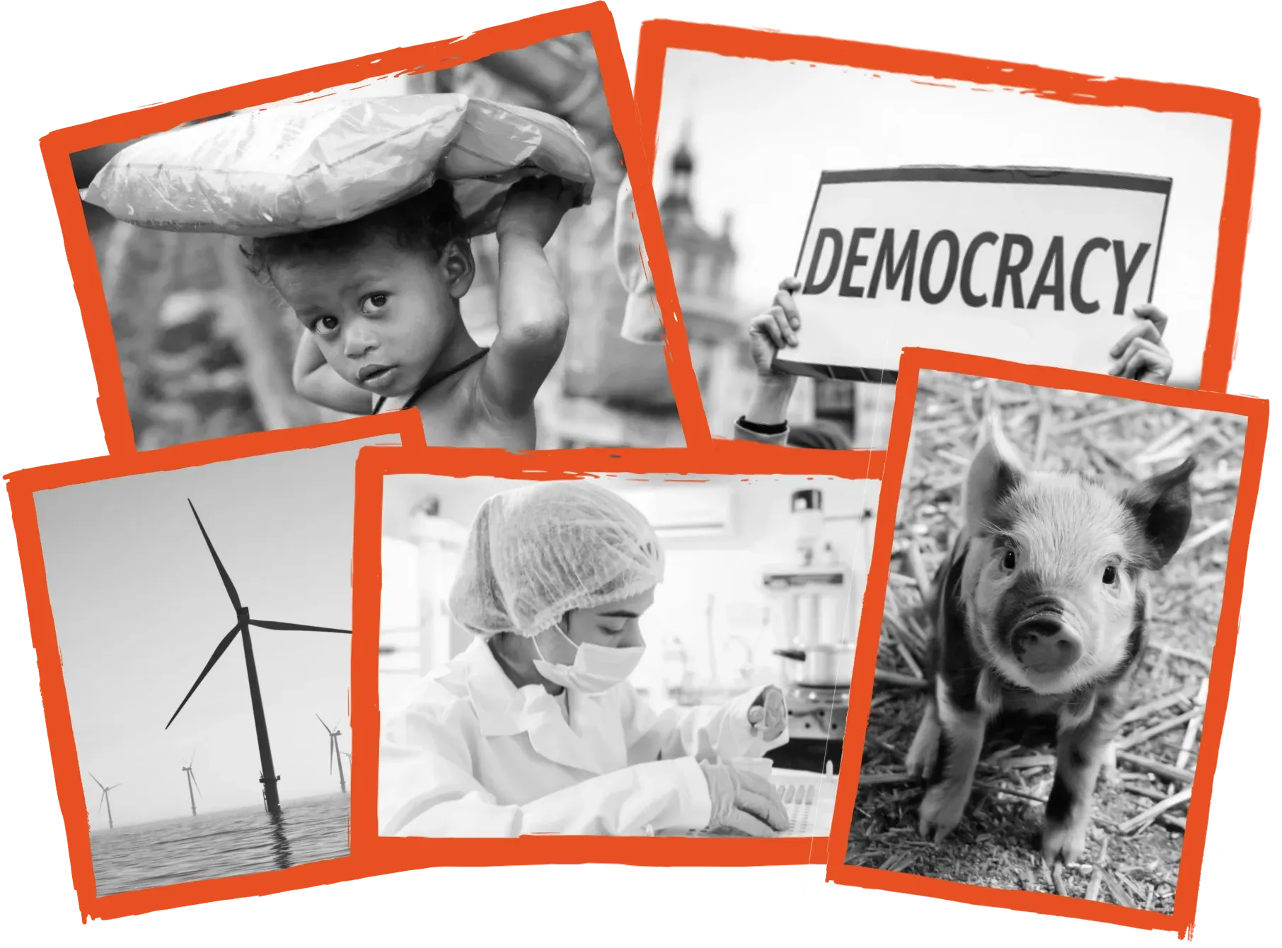 Fotocollage zu Armut, Tierschutz, Klimaschutz, Demokratie und Pandemieprävention
