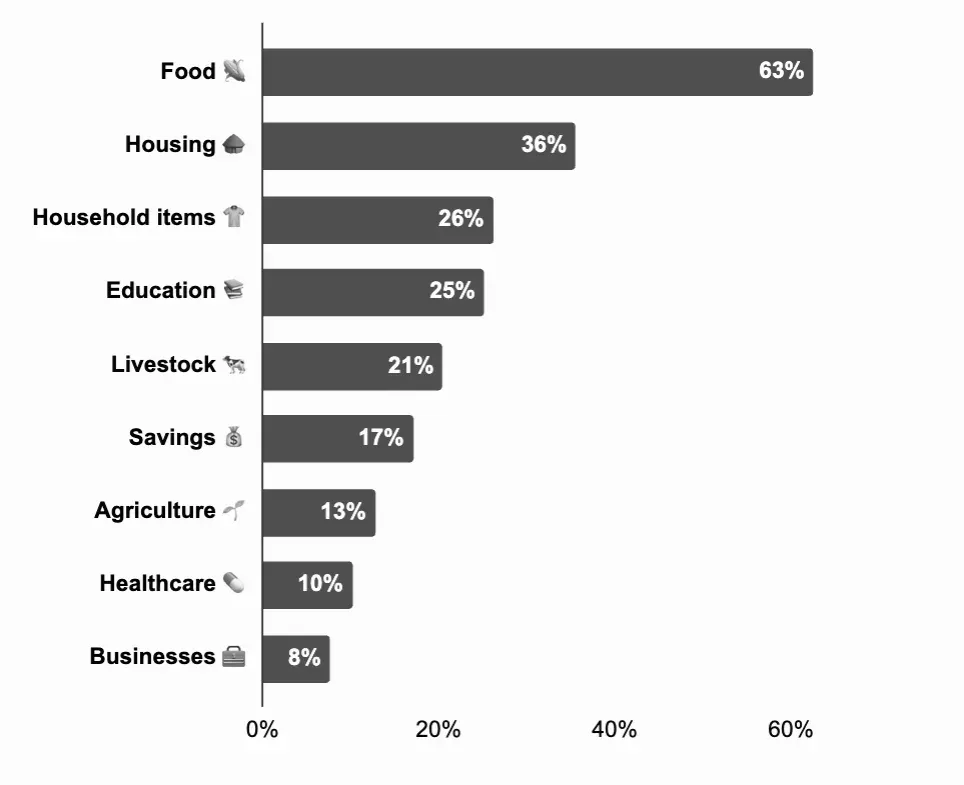 Balkendiagramm: Empfängerinnen und Empfänger von GiveDirectly gaben das Geld vor allem für Essen (63%), Wohnen (36%) und Haushaltsgegenstände (26%) aus