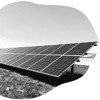 To the Giving Fund: Mitigating Climate Change