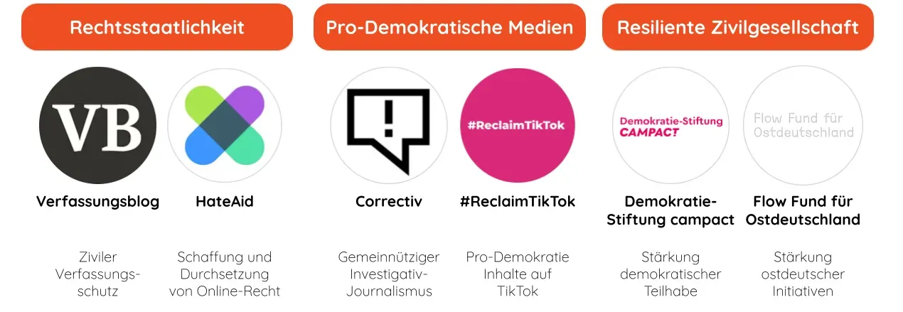 Geförderte Organisationen für Demokratie: Verfassungsblog und HateAid (Rechtsstaatlichkeit), Correctiv und #ReclaimTikTok (Pro-demokratische Medien), Demokratie-Stiftung Campact und Flow Fund (Zivilgesellschaft)