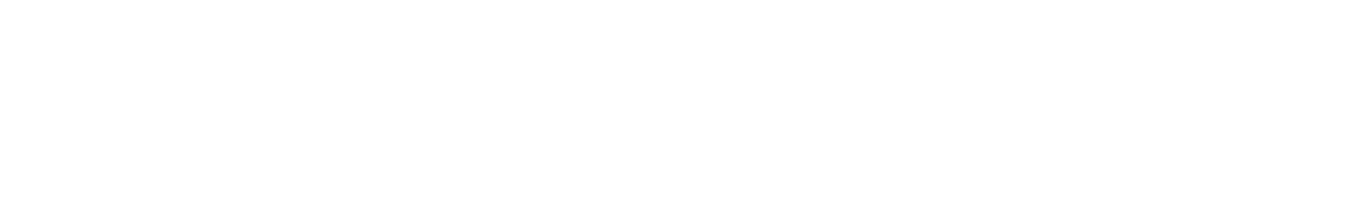 Der Standard Logo