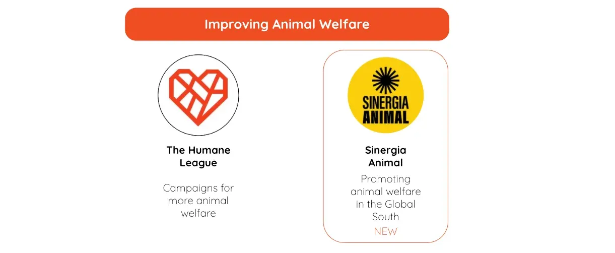 Recommended animal welfare organizations: The Humane League and Sinergia Animal (new)