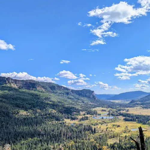 Wide mountain valley with forested hills under a blue sky