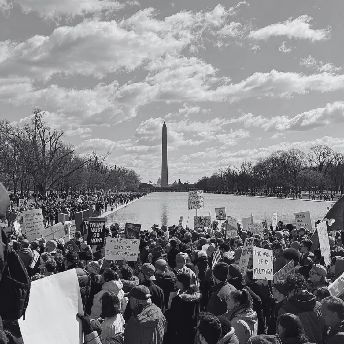 Demonstration mit Protestschildern gegen Trump vor dem Washington Monument