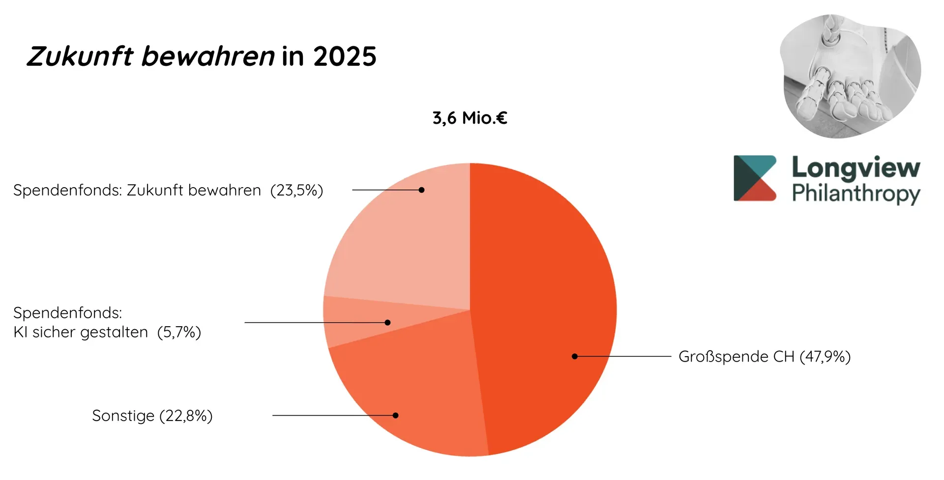 Pie chart: €3.6 million for Safeguarding the future in 2025, with 47.9% a large gift from Switzerland, 23.5% the Safeguarding the future giving fund, 5.7% the Making AI safe giving fund, 22.8% other