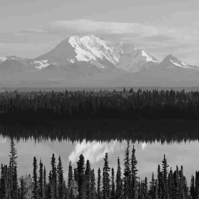 Schneebedeckte Berge spiegeln sich in einem See, umgeben von Nadelwald