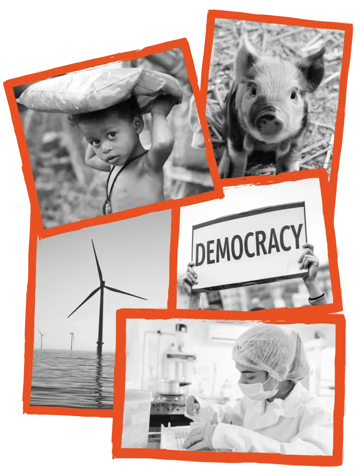 Fotocollage zu Armut, Tierschutz, Klimaschutz, Demokratie und Pandemieprävention