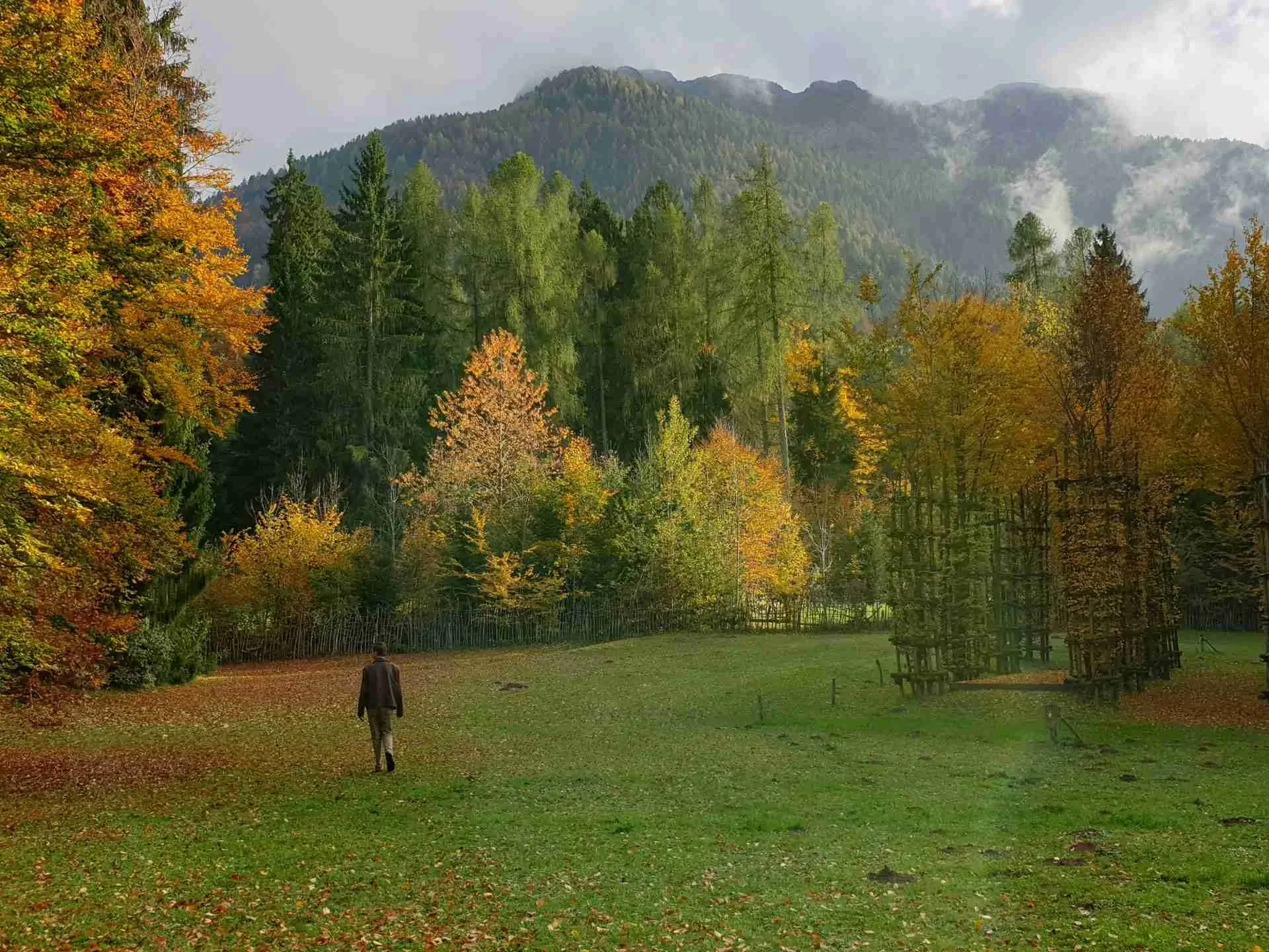In Georgs Sinne Hintergrund