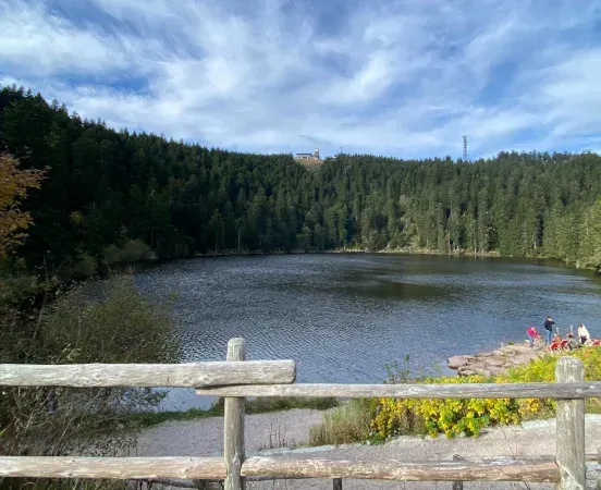 Bergsee im Schwarzwald, umgeben von Wald