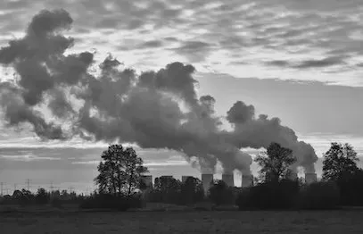 Wie halten wir den Klimawandel auf?
