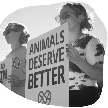 Zur Hilfsorganisation The Humane League