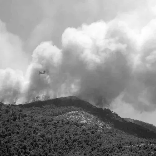 Löschflugzeug fliegt über einen Waldbrand mit aufsteigendem Rauch